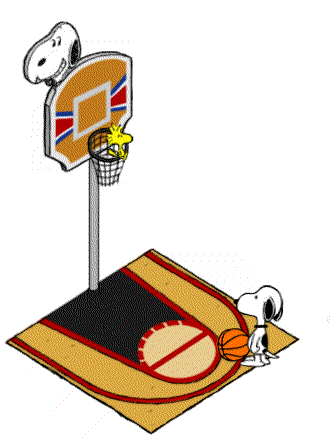 Basketball_court_action